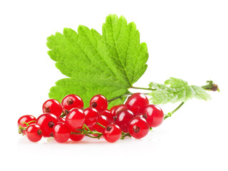 Poster - redcurrant