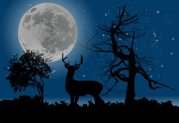 Canvas Print - deer in night forest