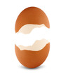 Broken empty egg isolated on white
