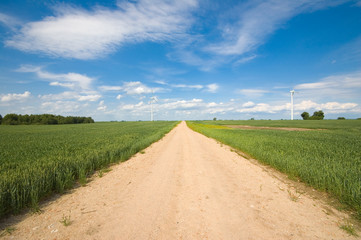 Wall Mural - Country road