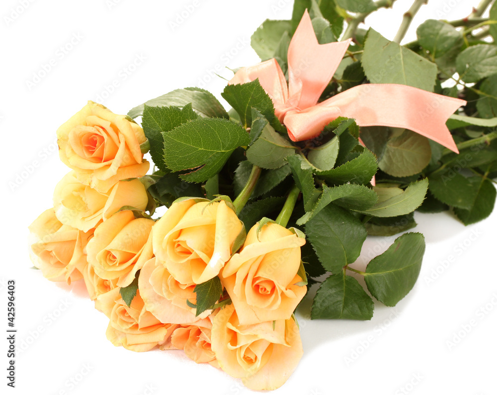 beautiful bouquet of roses isolated on white