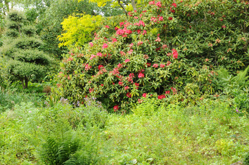 France, le Jardin de l Atelier in Perros Guirec