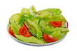 grüner Salat mit Tomaten,Gurken & Radieschen