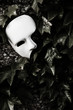 © Bruno Passigatti - Masquerade - Phantom of the Opera Mask on Ivy Wall