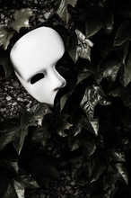 Masquerade - Phantom Of The Opera Mask On Ivy Wall