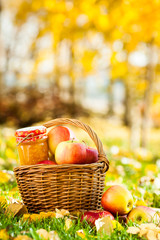 Wall Mural - Apple jam in jar