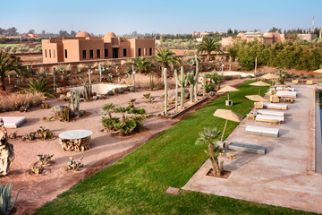 Desert oasis with palm tree