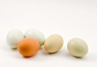 Fresh eggs on isolated white