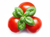 Fototapeta  - pomidory i bazylia