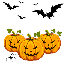 Halloween Pumpkin And Bats