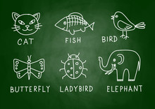 Drawings Of Animals On Blackboard