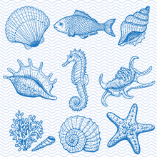 Sea Collection. Original Hand Drawn Illustration