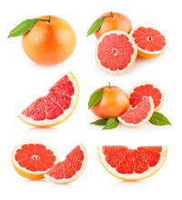 Set Of 6 Grapefruit Images