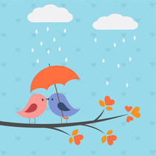 Birds Under Umbrella
