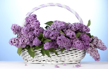 Canvas Print - beautiful lilac flowers in basket on blue background