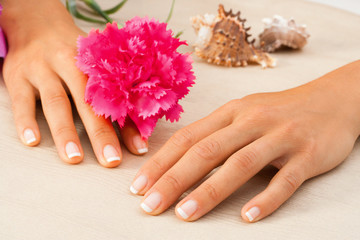 Wall Mural - Female hands with flower.