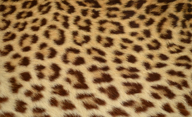 leopard tiger skin texture background