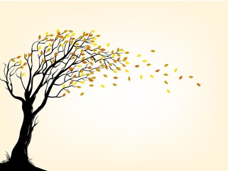 Autumn tree