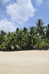 Chaweng Beach - Kho Samui - Thailand