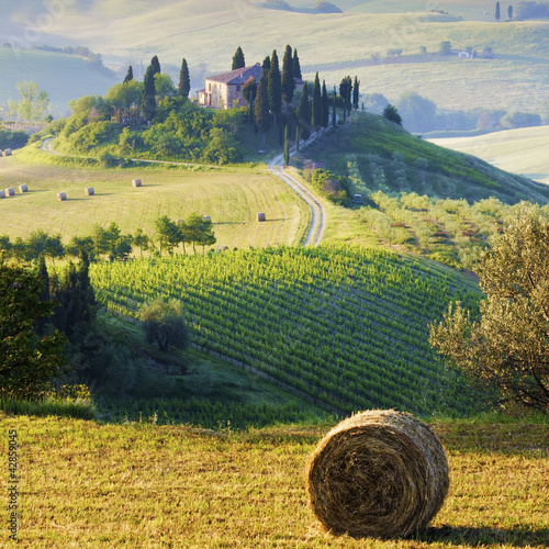 Obraz w ramie campagna Toscana, Italia