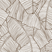 Vector Illustration Leaves Of Palm Tree. Seamless Pattern.