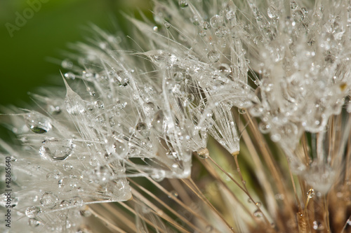 Naklejka ścienna raindrops