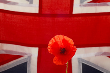 Poster - poppy union jack