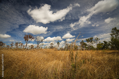 Naklejka samoprzylepna Krajobraz park narodowy kakadu, Australia