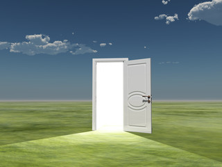 Poster - Single door emits light in empty landscape