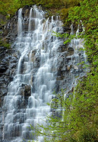 Nowoczesny obraz na płótnie Piękny wodospad na tle zielonego lasu