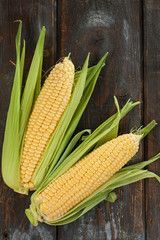 Wall Mural - A corn cob on a wooden table