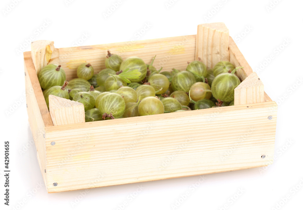Green gooseberry in crate isolated on white