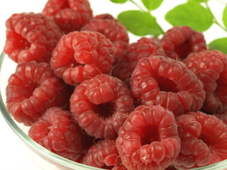 Poster - Raspberries