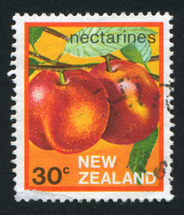 Sticker - Nectarines