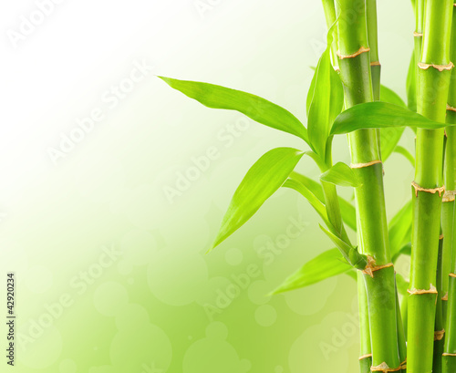 Naklejka dekoracyjna Bamboo background with copy space