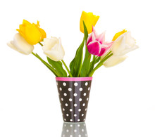 Beautiful Tulips In Vase Isolated On White