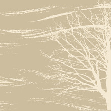 Tree Silhouette On Brown Background