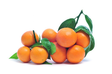 Sticker - tangerines