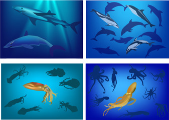 Wall Mural - set of marine life composition