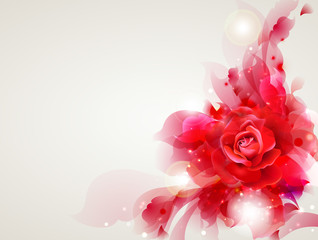Fotomurales - Abstract soft background with red rose
