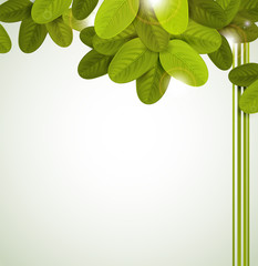 Sticker - Season tree with green oval leaves