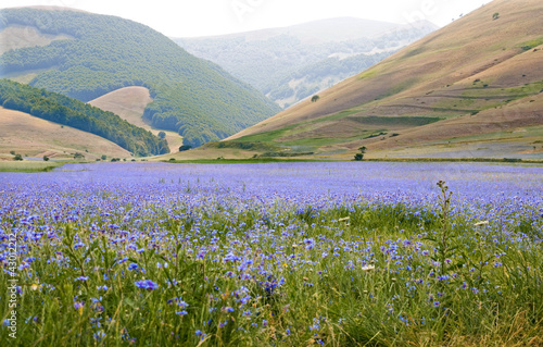 Board z aluminiowym obramowaniem Chabry w castelluccio di norcia