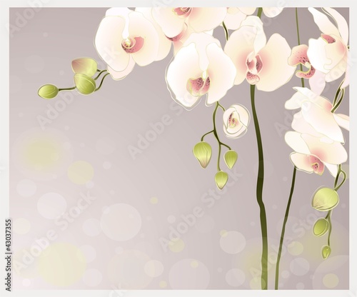 Obraz na płótnie canvas Kartkę z życzeniami z orchidei. 