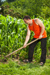 © Xalanx - Young farmer weeding in a corn field