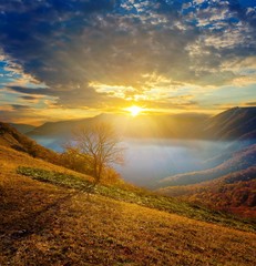 Wall Mural - sunrise above a mountain valley