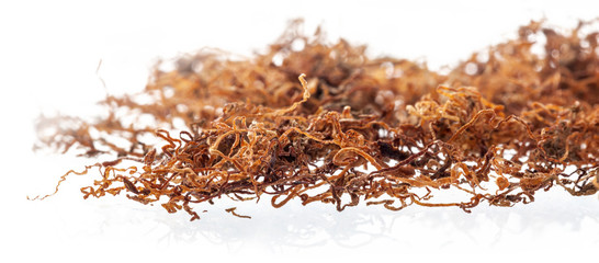 Wall Mural - Dried chopped leaves of tobacco, premium rolling tobacco