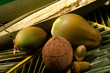 Several coconuts on a coconut palm leaf