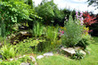 Garten und Teich im Sommer
