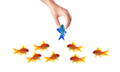 goldfish leader on white background, unique and diffrent busines