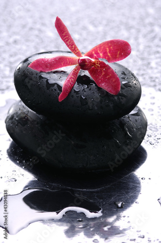 Dekoracja na wymiar  sterta-zen-kamienie-i-kwiat-z-kropli-woda